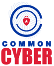 Common Cyber